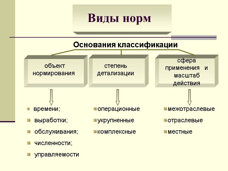 Виды норм  объект нормирования степень детализации сфера применения  и масштаб действия 